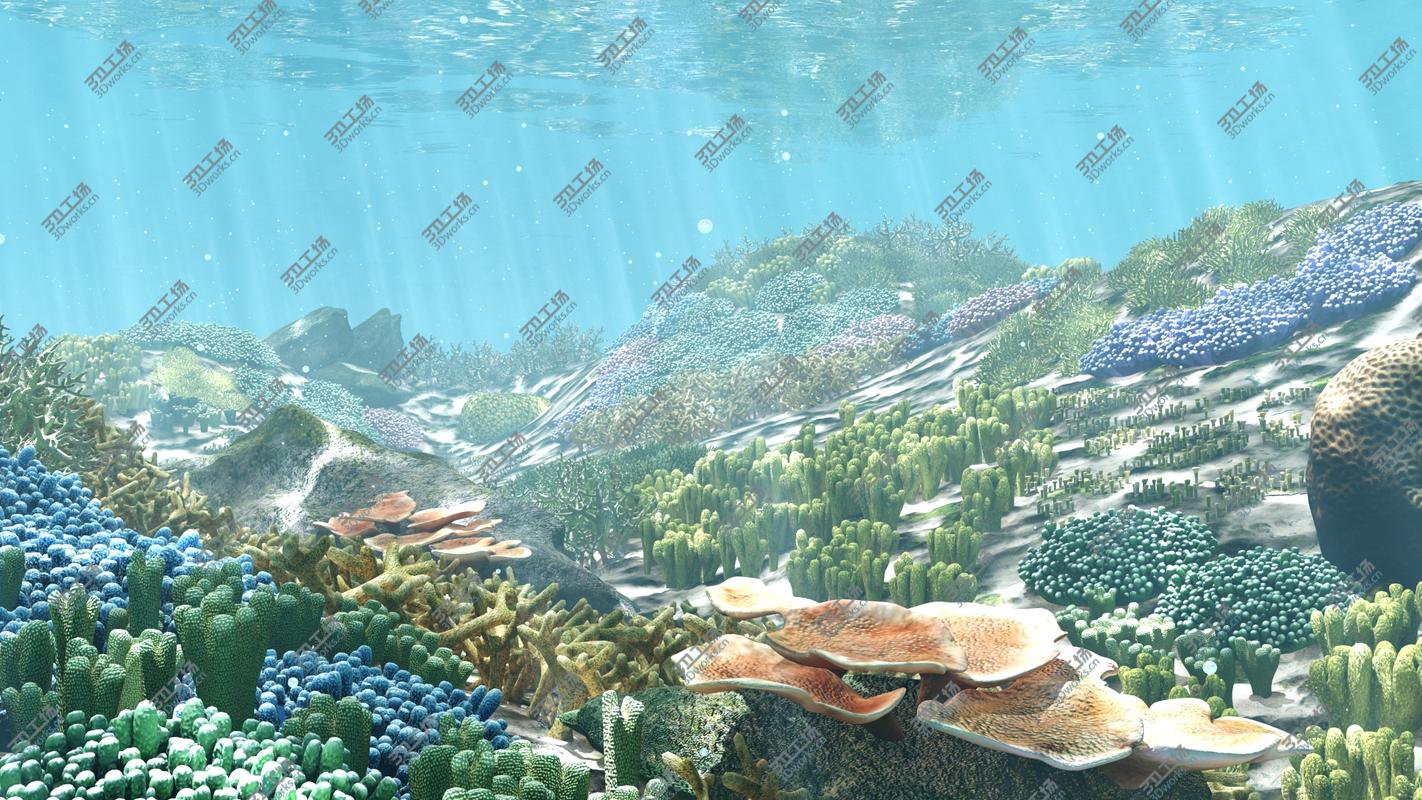 images/goods_img/202104092/3D 3D Cartoon Underwater Coral Reef Habitat Ocean Version 2/4.jpg